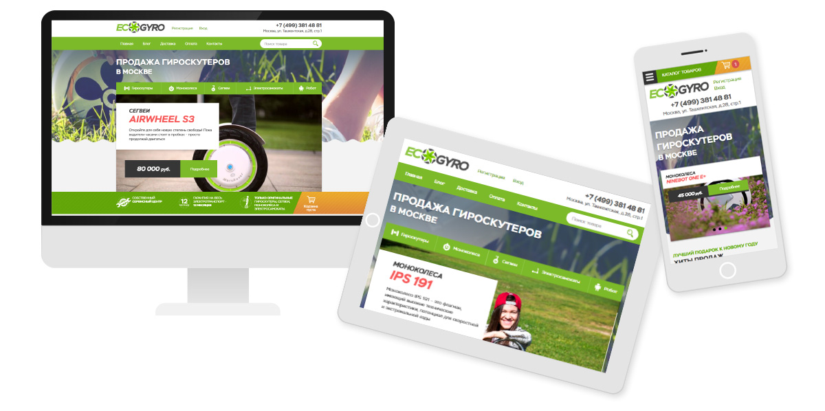 Ecogyro