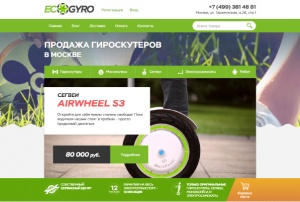 Ecogyro